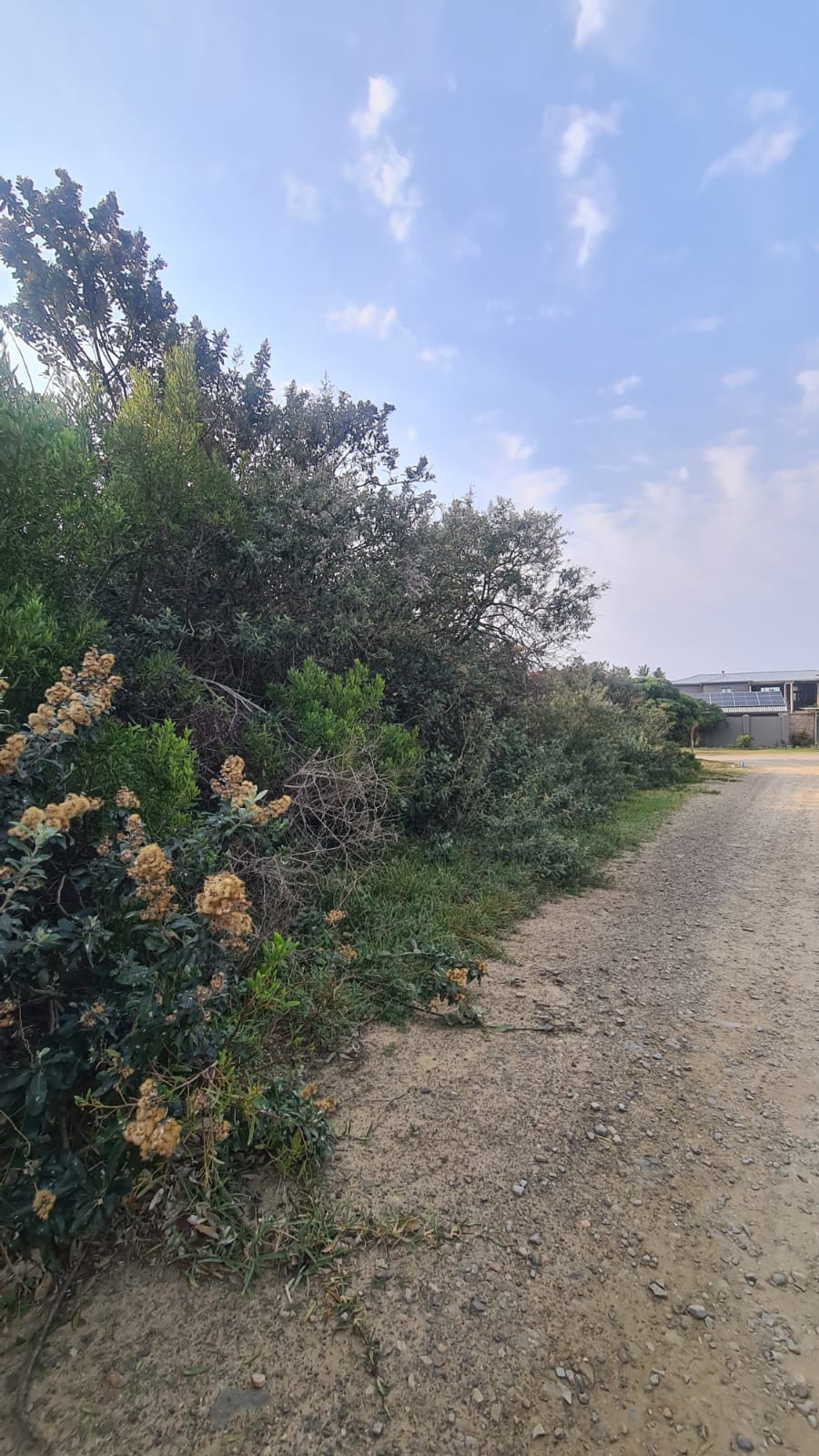 0 Bedroom Property for Sale in Cannon Rocks Eastern Cape